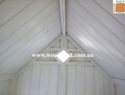 ostapshik_kz8